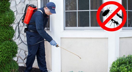 Seydiler Dezenfeksiyon böcek ilaçlama ve haşere kontrolü — ilaclama-tr.com